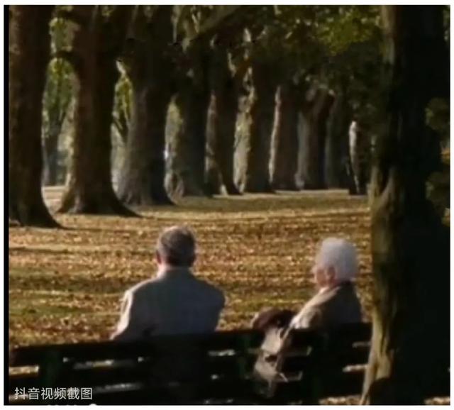 抖音網(wǎng)名女生簡單氣質(zhì)，抖音網(wǎng)名女生簡單氣質(zhì)兩字？