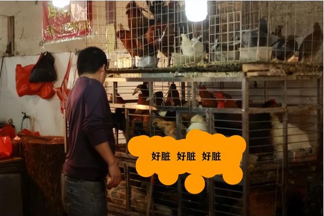 有人自學(xué)python成功賺錢了嗎（學(xué)python可以賺錢嗎）