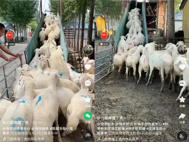 快手語錄短句霸氣，快手語錄短句霸氣_生活？