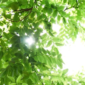 適合發(fā)朋友圈的花束圖片，適合發(fā)朋友圈的花束圖片 真實(shí)？