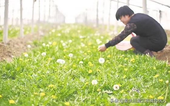 窮人創(chuàng)業(yè)項目能賺100萬，窮人創(chuàng)業(yè)項目有哪些？