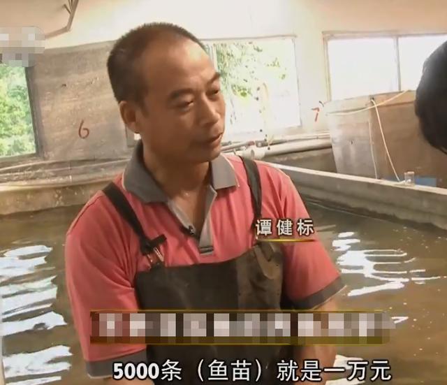 水產(chǎn)生意有多暴利（水產(chǎn)行業(yè)利潤）