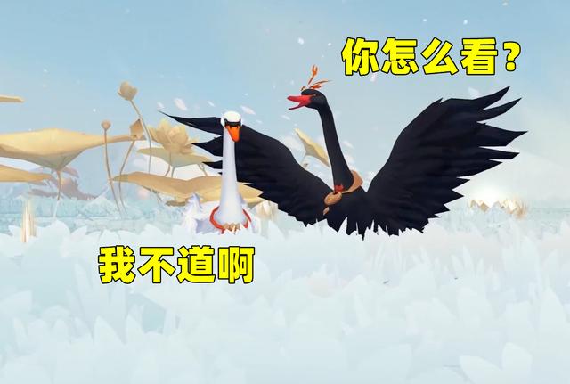 021陰陽師大區(qū)人數(shù)排名（陰陽師哪個區(qū)人最多2019）"
