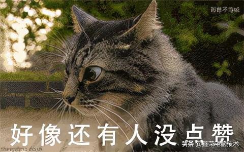 微信視頻號(hào)緩存在哪個(gè)文件夾里找（微信視頻號(hào)緩存在哪個(gè)文件夾里OPPO手機(jī)）