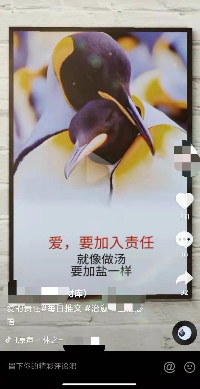 拍抖音怎么賺錢多少贊才有錢啊（拍的抖音點贊多少可以有錢賺）