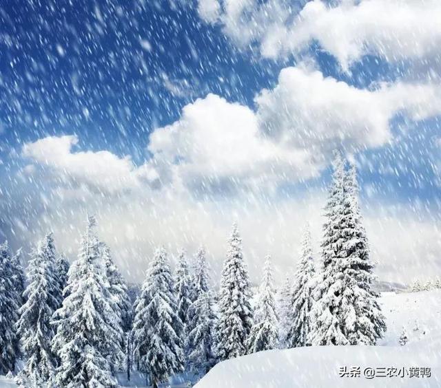 今天的天氣預(yù)報(bào)直播回放視頻，今天的天氣預(yù)報(bào)直播回放視頻下載？