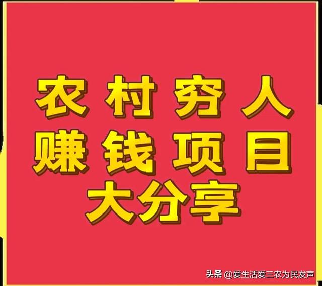 農村一個人干啥掙錢快呢（農村一個人做什么掙錢）