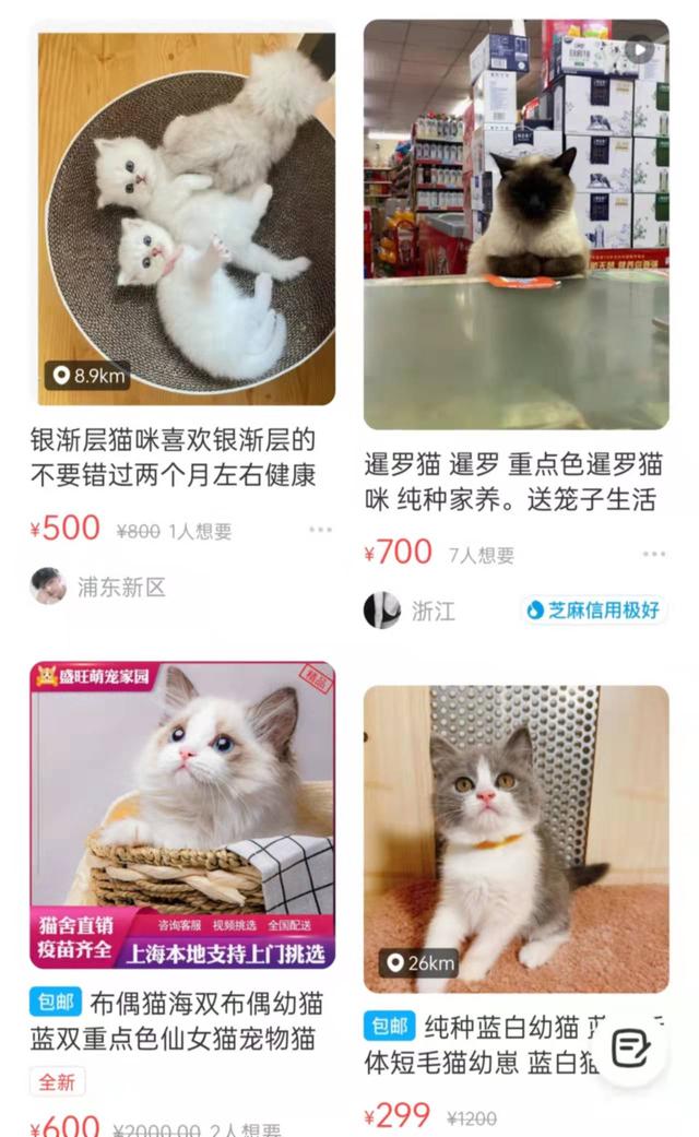 閑魚賣東西有沒有手續(xù)費(fèi)，閑魚賣東西有沒有手續(xù)費(fèi)啊