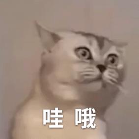 投資什么賺錢最快2021（投資什么最賺錢最快）