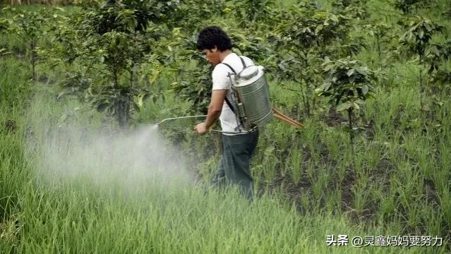 視頻發(fā)朋友圈會模糊怎么辦，發(fā)朋友圈的視頻很模糊怎么辦？