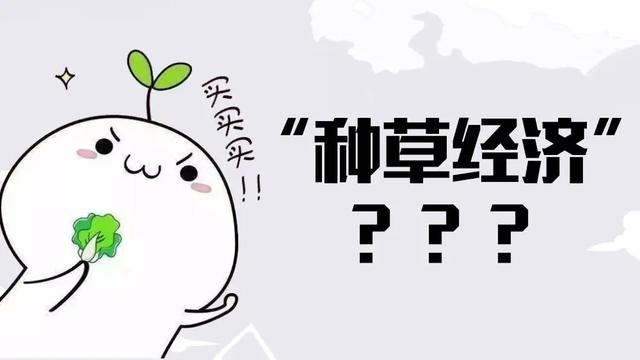 小紅書跟抖音最大區(qū)別，小紅書比抖音高大上嗎？