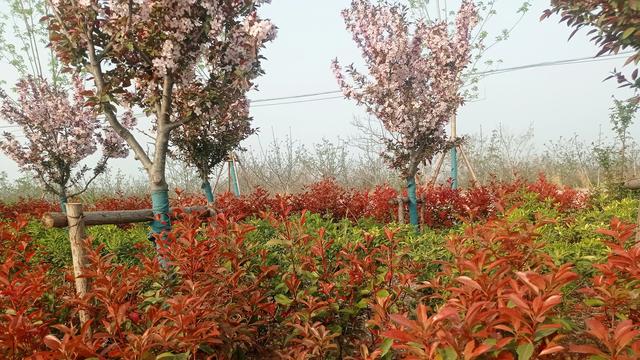 怎么創(chuàng)業(yè)從哪開始白手起家，怎么創(chuàng)業(yè)呢白手起家？