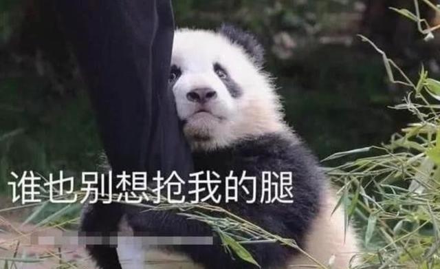021搬磚游戲賺錢的手游，2020手機(jī)搬磚賺錢的游戲？"