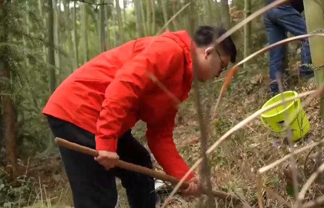 最適合打工還債的工作（女的做還債好還是討債好）