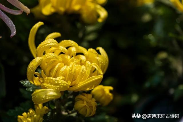 登山的朋友圈句子，登山心情發(fā)朋友圈句子適合爬山發(fā)的說說句子？