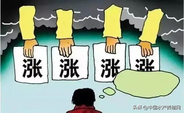養(yǎng)殖黃骨魚掙錢嗎，黃骨魚養(yǎng)殖利潤？