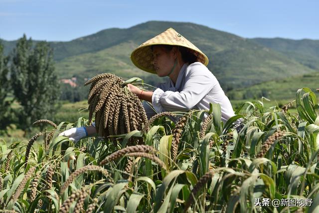 想做手工賺錢怎么找平臺（手工制作賺錢的項目）