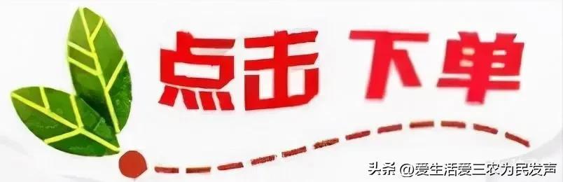 農村一個人干啥掙錢快呢（農村一個人做什么掙錢）