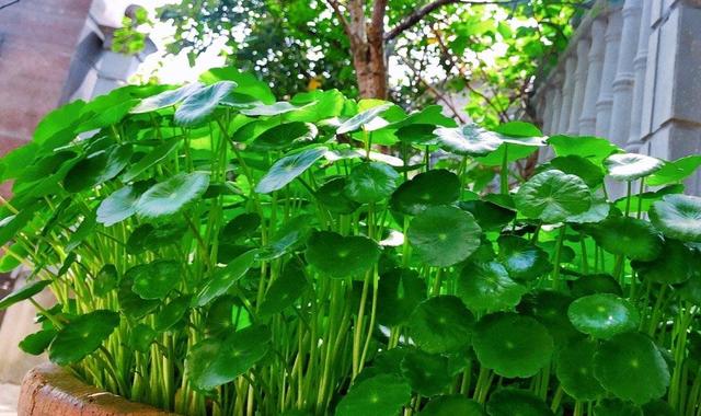 在線快3官方網(wǎng)站（在線快三平臺官網(wǎng)）