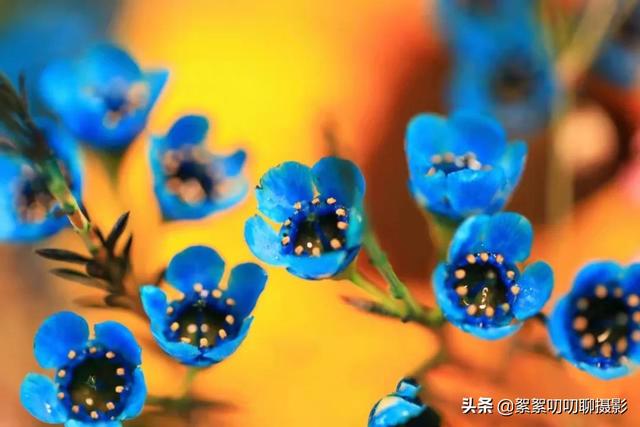 景深三要素對景深的影響分別是什么（景深三要素與景深大小的關(guān)系）