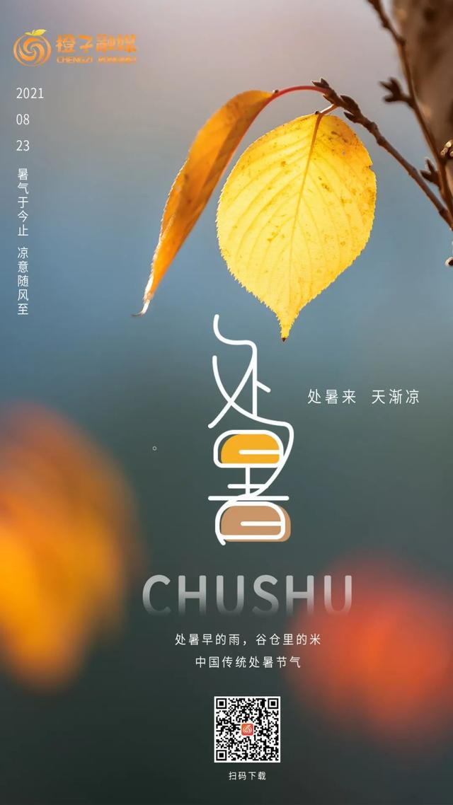 貪吃蛇大橙子的直播間？橙子的直播間叫什么