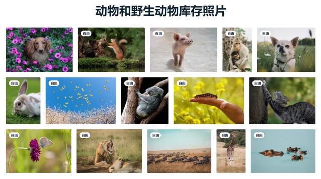 pixabay官網(wǎng)免費(fèi)素材免費(fèi)下載，pixabay官網(wǎng)免費(fèi)_素材