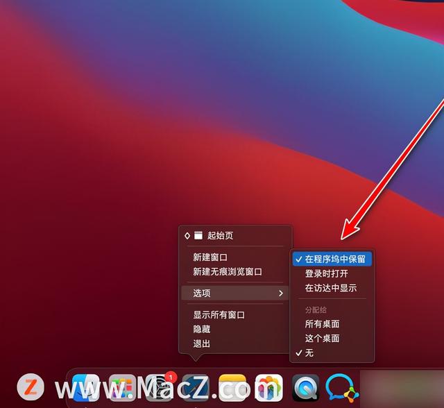 iwatch程序塢是什么意思（蘋果程序塢是什么意思）