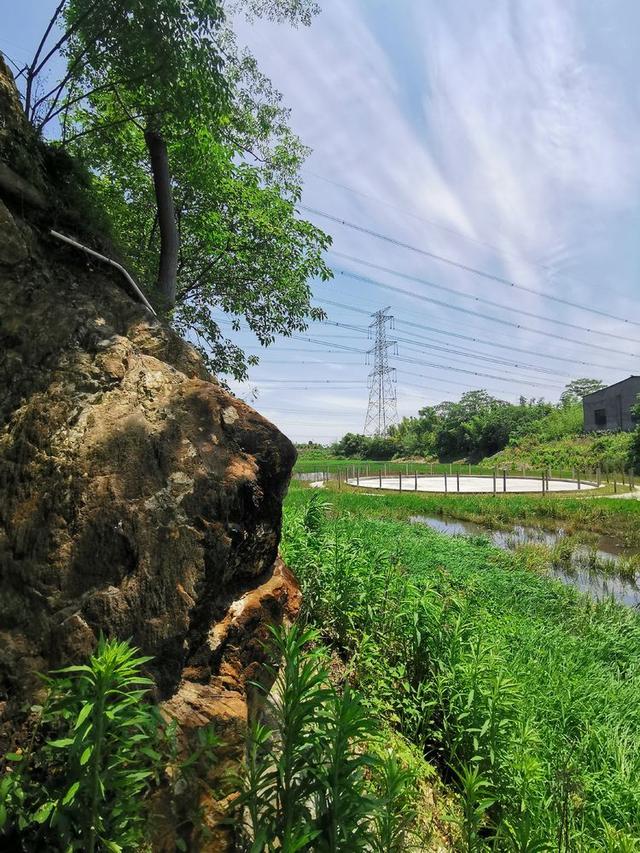 胥怎么讀音讀出來（胥這個字怎么讀）