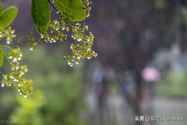 傾盆大雨的說說發(fā)朋友圈圖片，傾盆大雨的說說發(fā)朋友圈圖片大全？