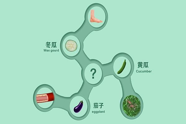 膽囊結(jié)石手術(shù)費(fèi)用大概多少（膽囊炎膽囊結(jié)石做手術(shù)要多少錢）