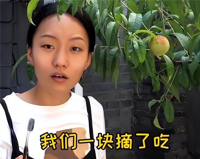 0萬粉絲的網(wǎng)紅收入有多少，十幾萬粉絲的網(wǎng)紅收入？"