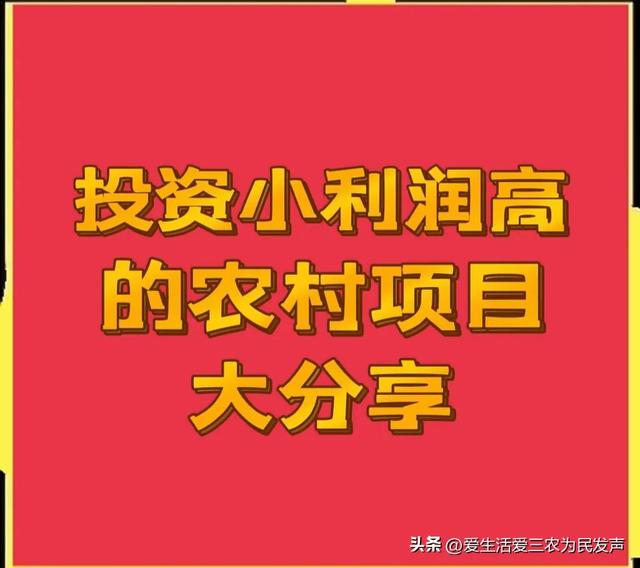 想做點小生意投資少的，現(xiàn)在做啥生意掙錢投資少？