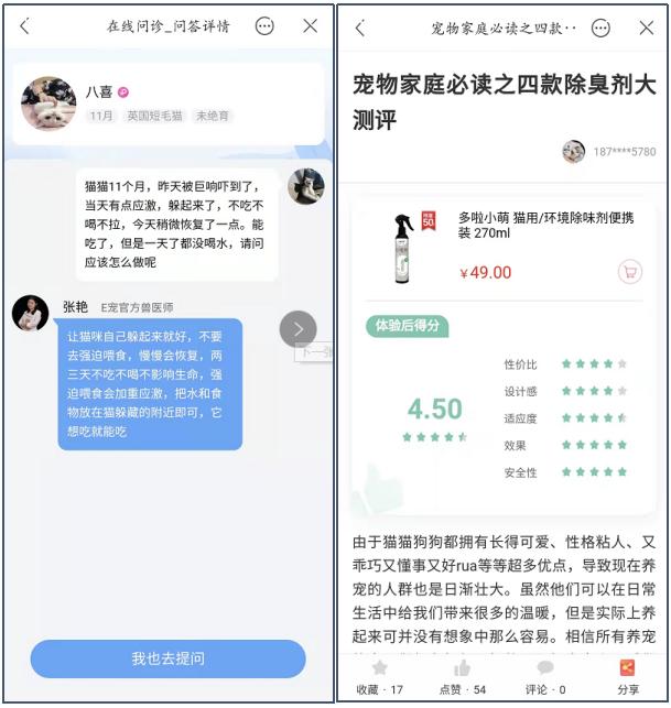 寵物店創(chuàng)業(yè)ppt模板免費(fèi)，寵物店創(chuàng)業(yè)計(jì)劃書市場營銷計(jì)劃？