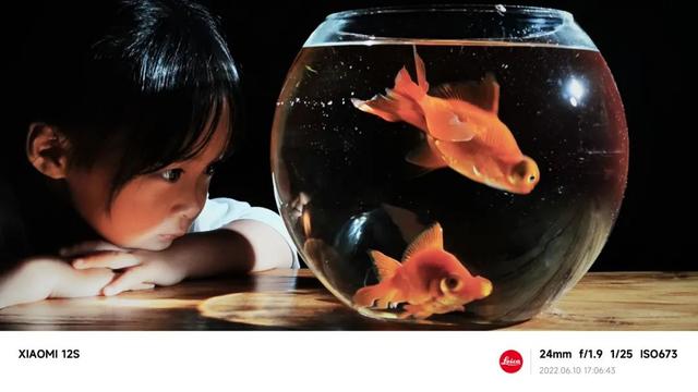 你的樣子抖音版鈴聲，你的樣子抖音版完鈴聲？