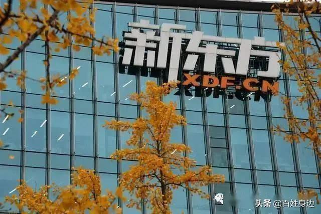 淘寶創(chuàng)始人是誰(shuí)什么時(shí)候成立，淘寶創(chuàng)始人是誰(shuí)人簡(jiǎn)介？