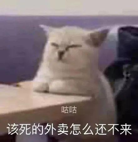 盤點2022年抖音網(wǎng)絡熱梗流行詞沙雕表情包