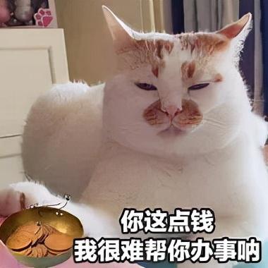 想創(chuàng)業(yè)賺錢看什么書(shū)，如何創(chuàng)業(yè)的書(shū)