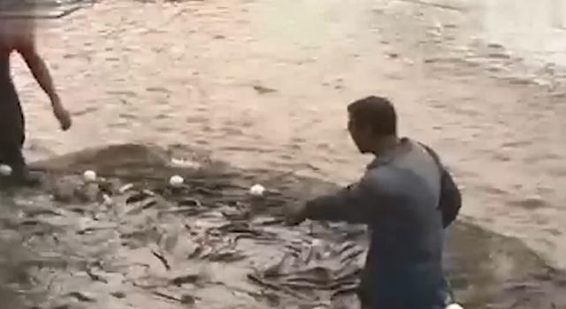 閑魚魚塘在哪里找（2021閑魚魚塘在哪里找）