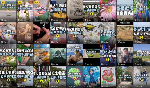 最新推薦短視頻分享大全大中國，短視頻分享大全～大中國？