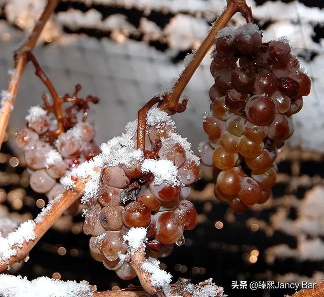 女人有三寶指的是什么（女神有三寶什么意思）