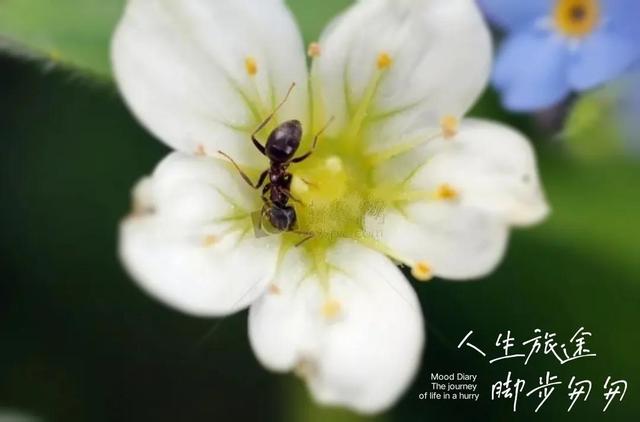 企鵝號怎么注冊能有收益（企鵝號怎么注冊容易通過）
