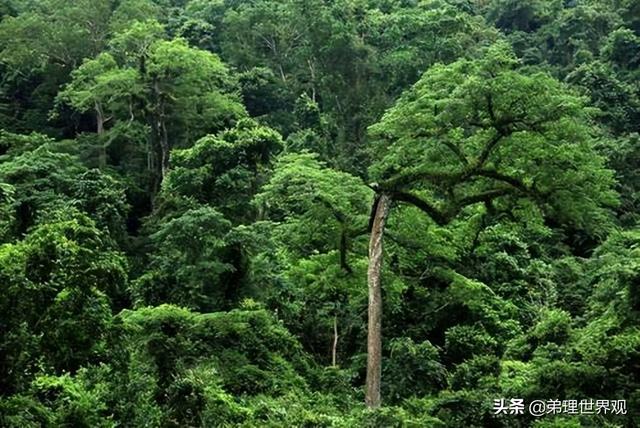 世界上流量最大流域面積最廣的河流是什么河，世界上流量最大流域面積最廣的河流是哪個河流？