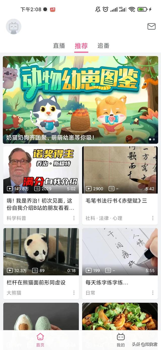 新浪微博視頻號入口（微博視頻號的視頻管理在哪）