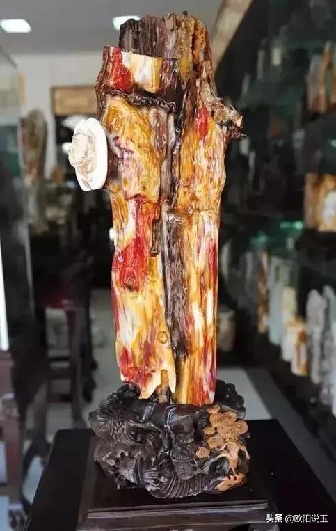 樹化石價格及圖片（樹化石值多少錢一個）