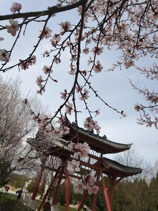 感恩公司的勵(lì)志的句子27條（感恩公司最樸實(shí)的文章）