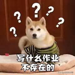 不帶圖片的微信朋友圈怎么發(fā)出來的蘋果手機，不帶圖片的微信朋友圈怎么發(fā)出來的蘋果手機能看到？