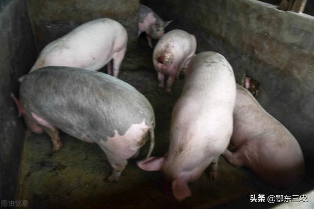 在家賺錢(qián)的十五種方法，在家賺錢(qián)的十種方法2016？