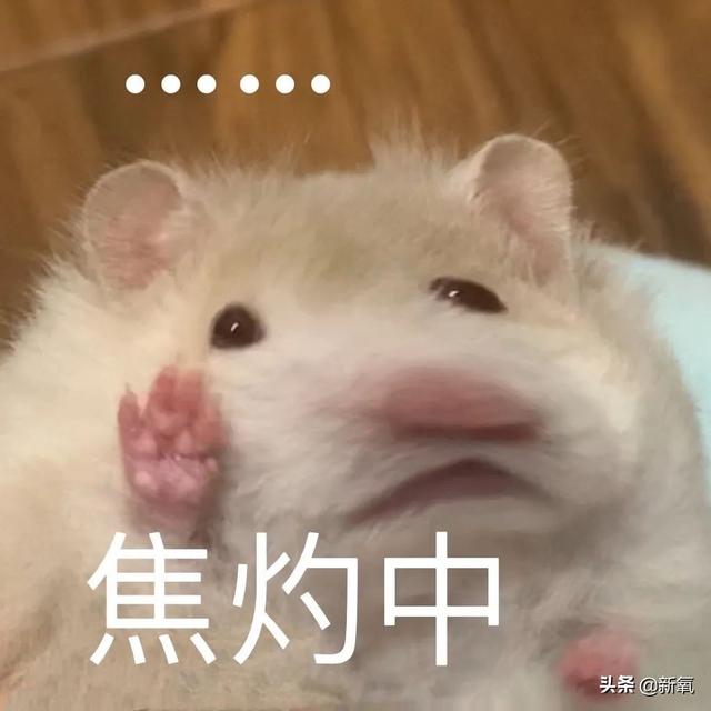 織音app唱歌真的能掙錢(qián)嗎，織音app唱歌賺錢(qián)是真的嗎,收益怎么樣-手賺聯(lián)盟？