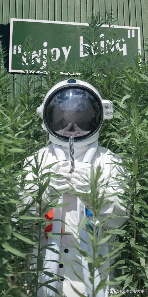 春日櫻花朋友圈文案（春天的花文案朋友圈）