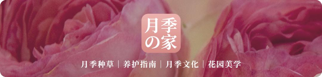種草之家視頻素材網(wǎng)站APP（種草之家視頻素材網(wǎng)站下載）